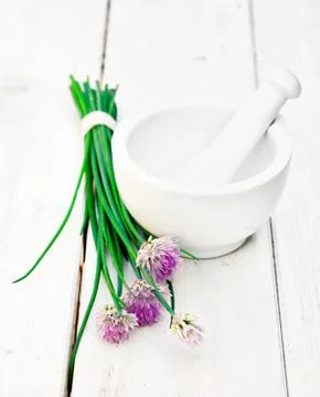 Wild flowering chives Stock Photos