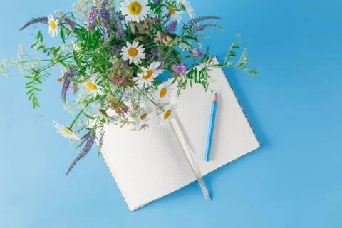Wild Flowers and a notepad on plain blue background Stock Photos