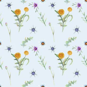 Wild flowers background. Seamless pattern. Wild flowers background Watercolor Stock Illustration