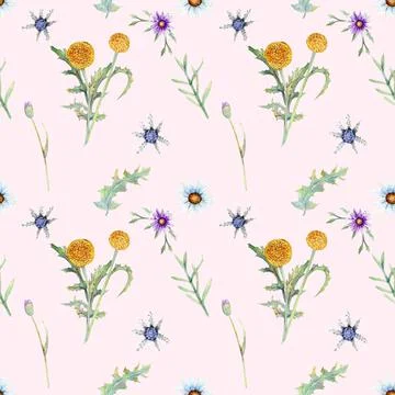 Wild flowers background. Seamless pattern. Wild flowers background Watercolor Illustrazione stock