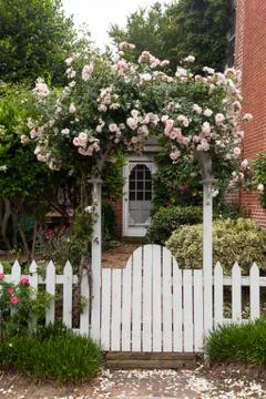Wild flowers growing over white picket fence Stock Photos