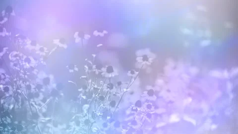 Wild flowers looping subtle and soft animated background Stock Footage 328930458