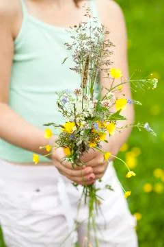 Wild flowers Foto stock