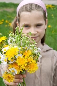 Wild flowers Stock Photos