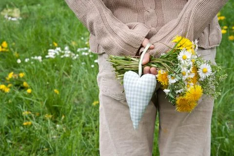 Wild flowers Stock Photos