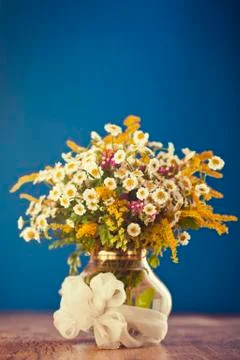 Wild flowers Stock Photos