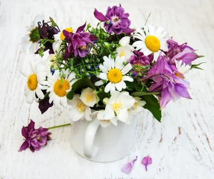 Wild flowers Stock Photos