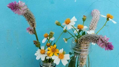 Wild flowers 库存照片