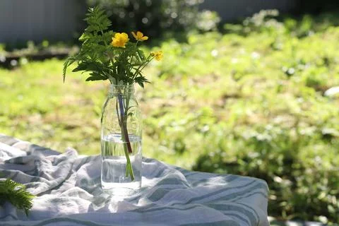 Wild flowers Stock Photos