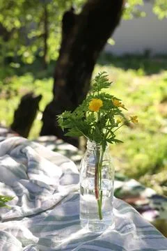 Wild flowers Stock Photos