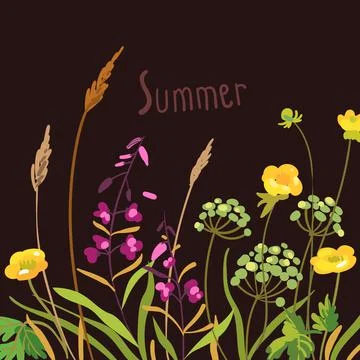 Wild flowers seamless pattern. Hand drawn vector illustration. Stock Illustration