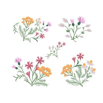 Wild flowers set Stock Illustration