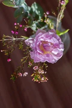 Wild flowers in a vase Stock Photos
