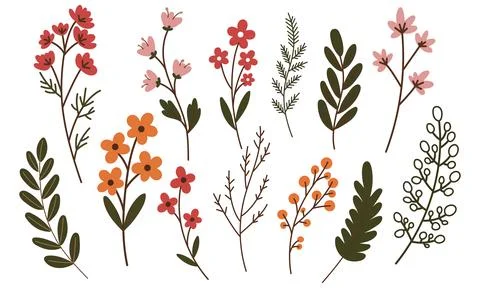 Wild flowers vector collection. herbs, herbaceous flowering plants, bloomin.. Stock Illustration