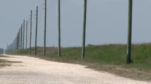 Wild 스톡 동영상 1088311