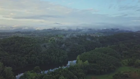 Into the Wild Stock Footage 80827875