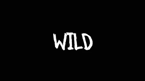 Wild Video stock 180835631