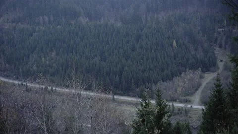 In the wild Video stock 195355957