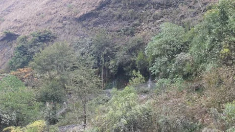 Wild Stock Footage 276941421