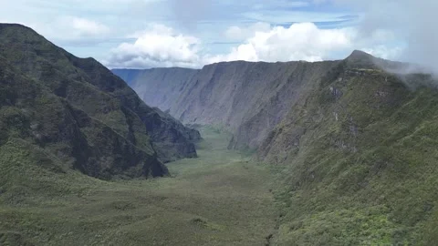 The Wild Stock Footage 329970917