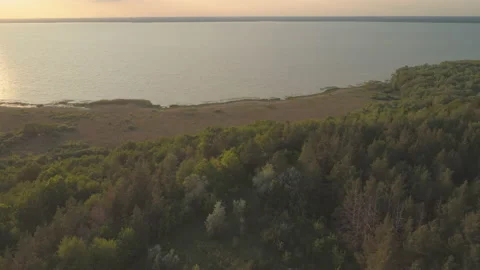 Wild forest and river coast at sunset Stock Footage 130610086
