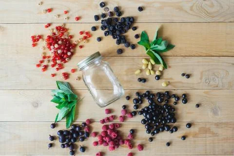Wild forest berries Stock Photos