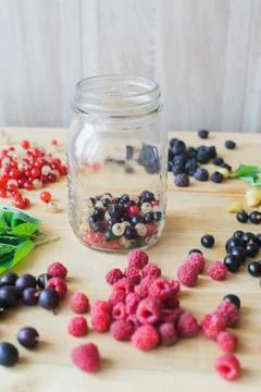 Wild forest berries Stock Photos