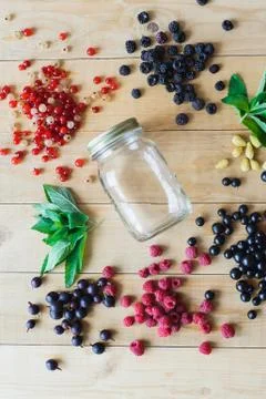 Wild forest berries Stock Photos
