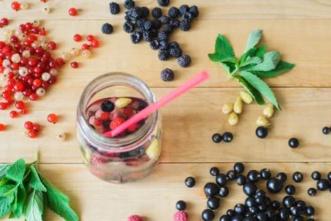 Wild forest berries Stock Photos