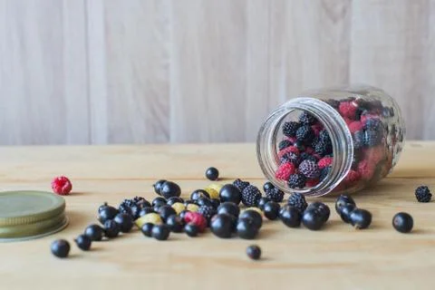 Wild forest berries Stock Photos