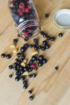 Wild forest berries Stock Photos