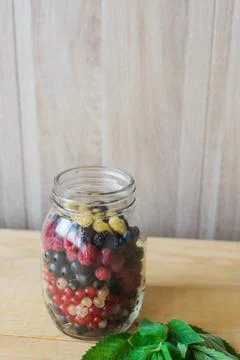 Wild forest berries Stock Photos