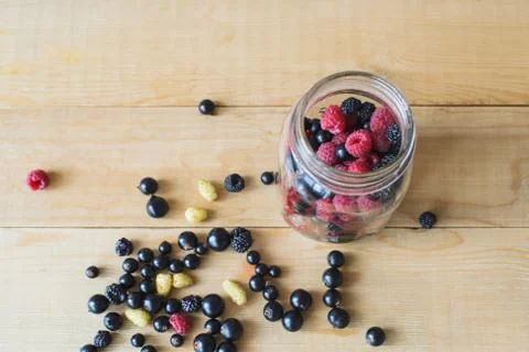 Wild forest berries Stock Photos