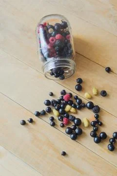 Wild forest berries Stock Photos