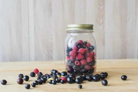 Wild forest berries Stock Photos