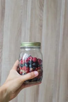 Wild forest berries Stock Photos