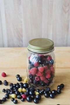 Wild forest berries Stock Photos