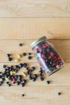 Wild forest berries Stock Photos