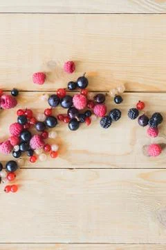 Wild forest berries Stock Photos