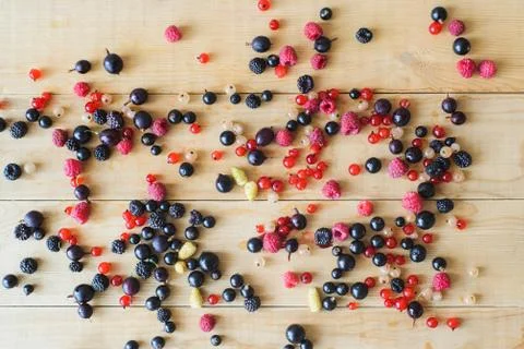 Wild forest berries Stock Photos