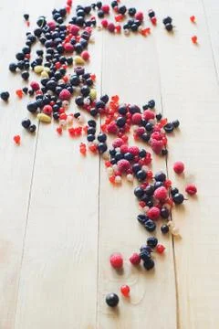 Wild forest berries Stock Photos