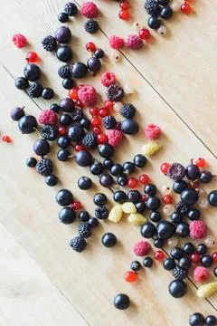Wild forest berries Stock Photos