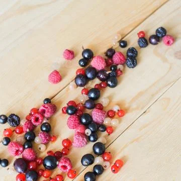 Wild forest berries Stock Photos