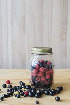 Wild forest berries Stock Photos