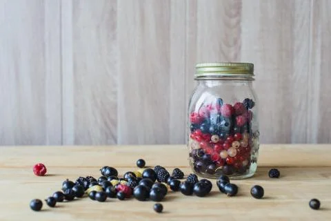 Wild forest berries Stock Photos