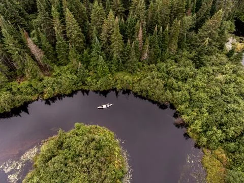 Wild Forest Canada aearial view kayak kayaking canoe canoeing boat river bird Stock Photos