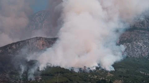 Wild forest fire burning below mountain Biokovo in Croatia Foto stock