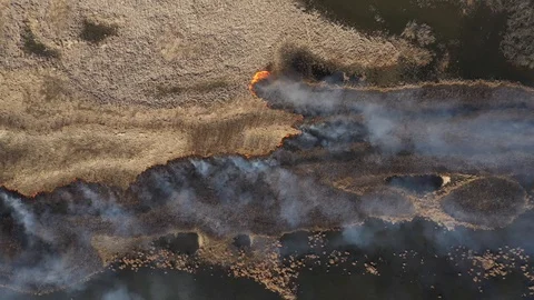 Wild Forest Fire From Drone Australia Stock Footage 127423110
