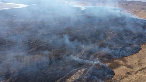 Wild Forest Fire From Drone Australia Stock Footage 127423684