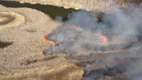 Wild Forest Fire From Drone Australia Stock Footage 127424767